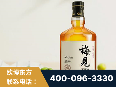 长葛-梅见青梅酒